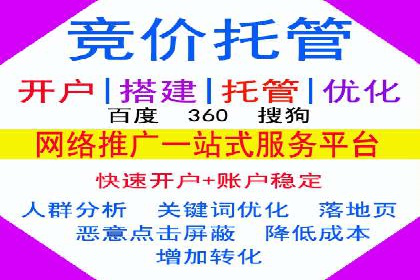 某企业选择SEM外包公司的决策与成果展示