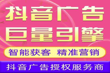 行业领先的SEM投放效果案例解析